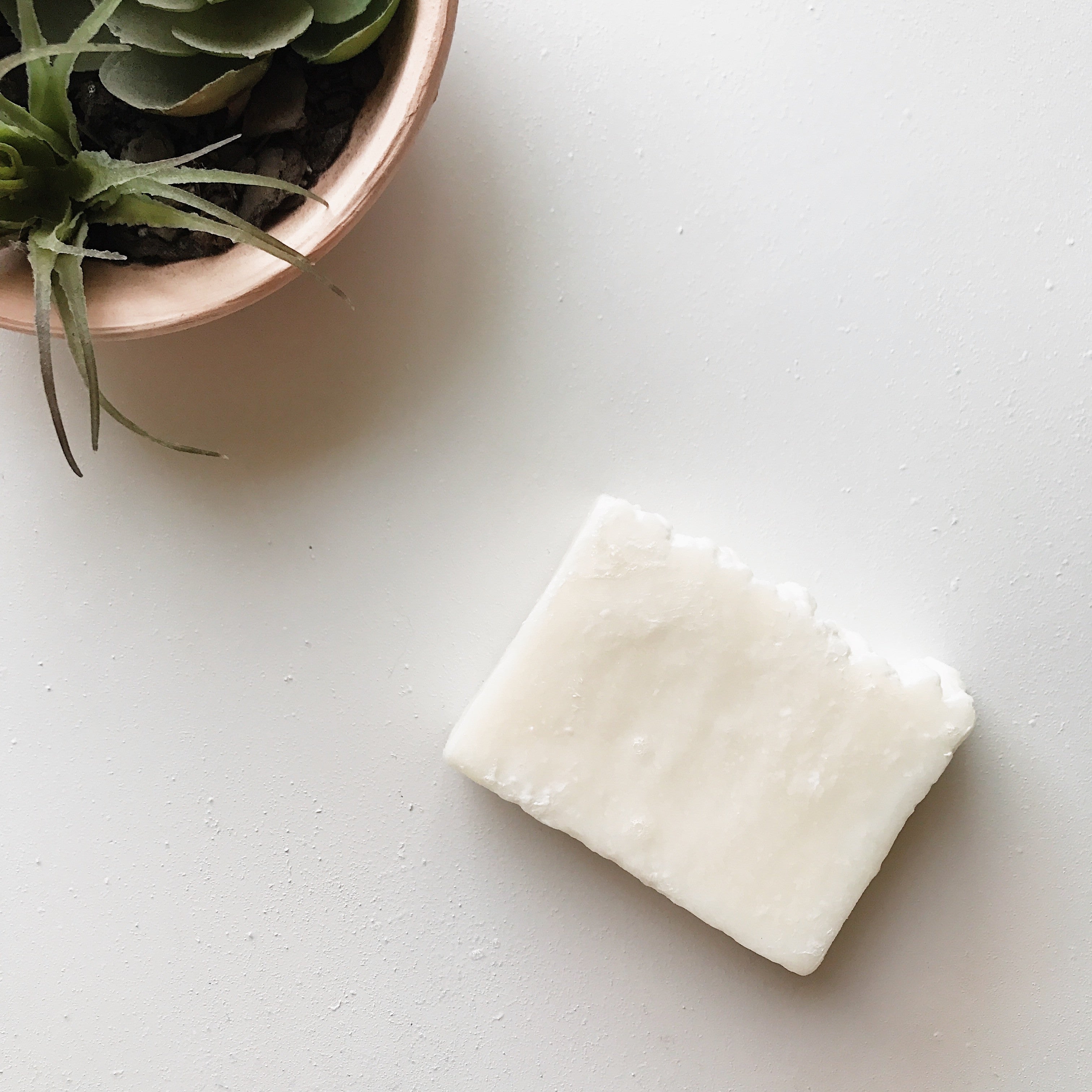 Eucalyptus Sea Salt Therapy Bar